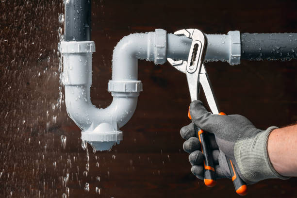 Professional Plumbing technician working in Bivalve, MD
